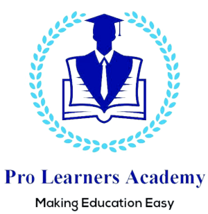 Pro Learners Academy — Practical Accounting Courses After 12th